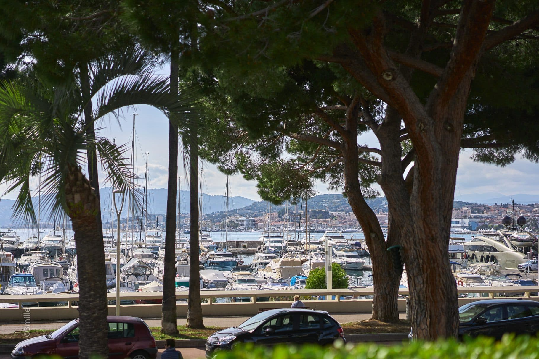 Villa Croisette - Photo 7